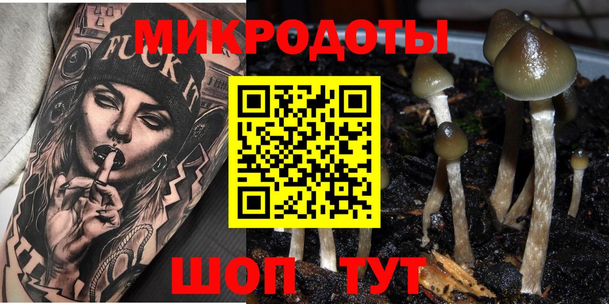 Зерноград  Галлюциногенные грибы прущие грибы  Вход с VPN 